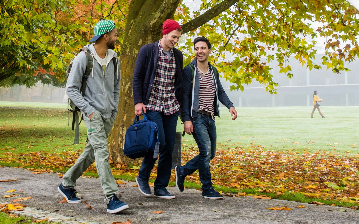 Three students walking on a path next to a leafy tree