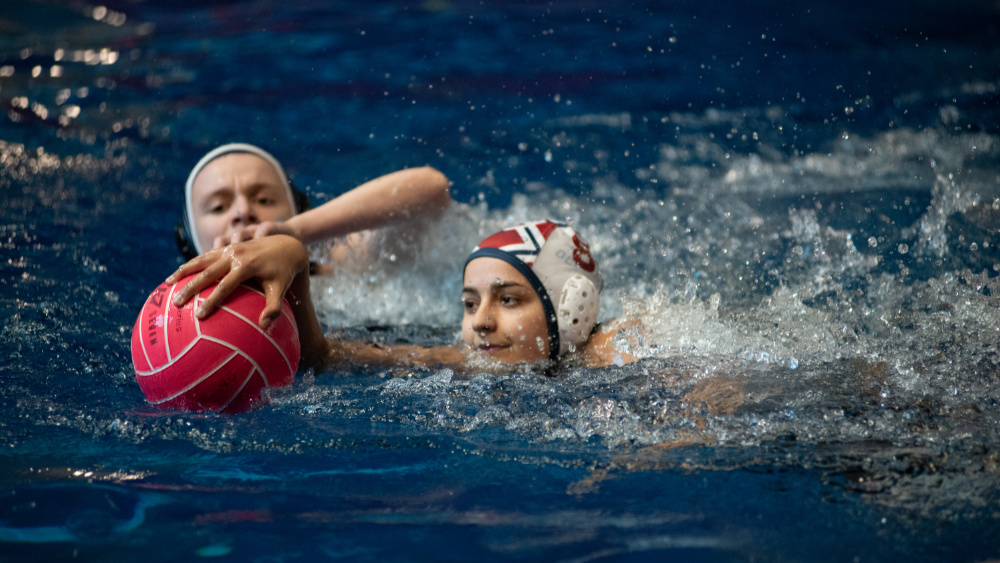 Two swimmers playing water polo